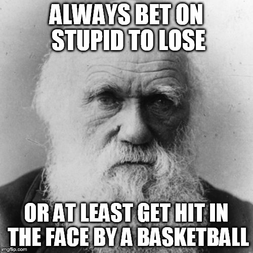 ALWAYS BET ON STUPID TO LOSE OR AT LEAST GET HIT IN THE FACE BY A BASKETBALL | image tagged in darwin | made w/ Imgflip meme maker