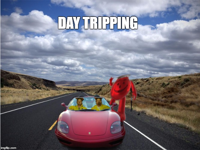 enjoy the ride | DAY TRIPPING | image tagged in memes,walt,kool aid,ferrari,trippy | made w/ Imgflip meme maker