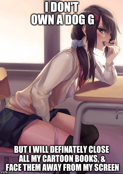 Hentai anime girl | I DON'T OWN A DOG G; BUT I WILL DEFINATELY CLOSE ALL MY CARTOON BOOKS, & FACE THEM AWAY FROM MY SCREEN | image tagged in hentai anime girl | made w/ Imgflip meme maker