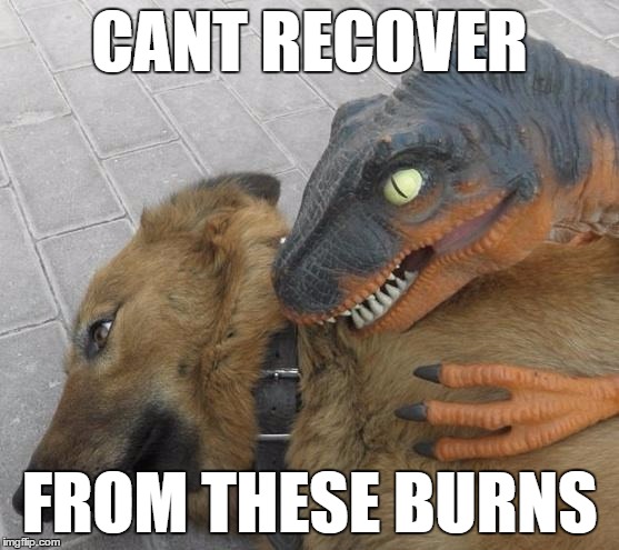 CANT RECOVER FROM THESE BURNS | made w/ Imgflip meme maker