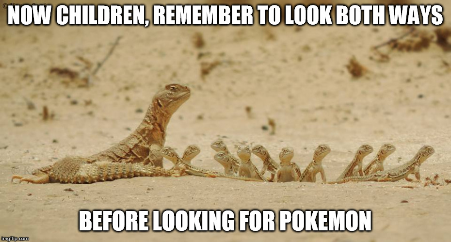 pokemon safety tip #1 | NOW CHILDREN, REMEMBER TO LOOK BOTH WAYS; BEFORE LOOKING FOR POKEMON | image tagged in pokemon,go,safety,tip,lizard,mom | made w/ Imgflip meme maker