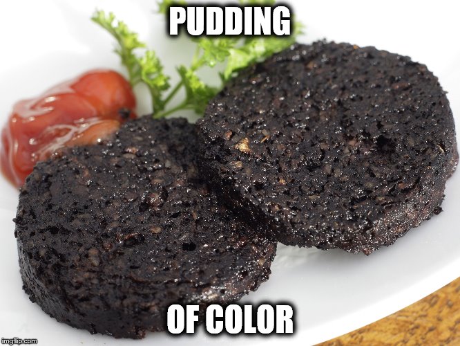 Politically Correct Food | PUDDING OF COLOR | image tagged in funny | made w/ Imgflip meme maker