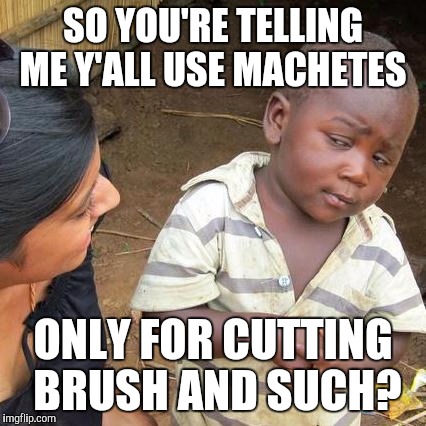 Third World Skeptical Kid | SO YOU'RE TELLING ME Y'ALL USE MACHETES; ONLY FOR CUTTING BRUSH AND SUCH? | image tagged in memes,third world skeptical kid | made w/ Imgflip meme maker