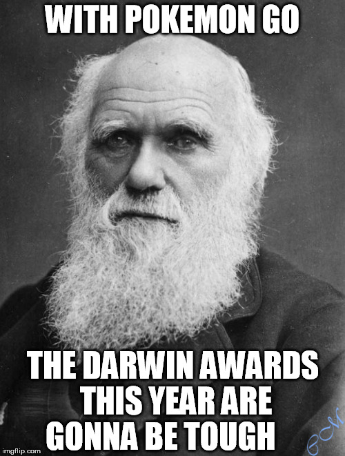 WITH POKEMON GO; THE DARWIN AWARDS THIS YEAR ARE GONNA BE TOUGH | image tagged in darwin award pokemon pg | made w/ Imgflip meme maker