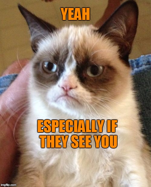 Grumpy Cat Meme | YEAH ESPECIALLY IF THEY SEE YOU | image tagged in memes,grumpy cat | made w/ Imgflip meme maker