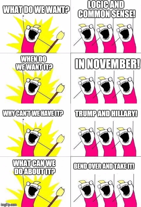 All We Can Do Now | LOGIC AND COMMON SENSE! WHAT DO WE WANT? WHEN DO WE WANT IT? IN NOVEMBER! WHY CAN'T WE HAVE IT? TRUMP AND HILLARY! BEND OVER AND TAKE IT! WHAT CAN WE DO ABOUT IT? | image tagged in hillary clinton,donald trump,bernie sanders,politics,memes,what do we want | made w/ Imgflip meme maker