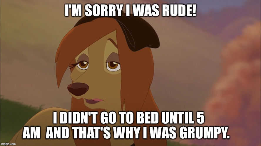 I'm Sorry I Was Rude! | I'M SORRY I WAS RUDE! I DIDN'T GO TO BED UNTIL 5 AM  AND THAT'S WHY I WAS GRUMPY. | image tagged in dixie exhausted,memes,disney,the fox and the hound 2,reba mcentire,dog | made w/ Imgflip meme maker