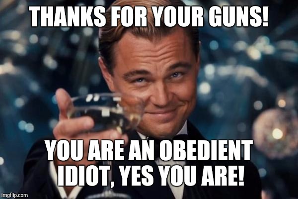 Leonardo Dicaprio Cheers | THANKS FOR YOUR GUNS! YOU ARE AN OBEDIENT IDIOT, YES YOU ARE! | image tagged in memes,leonardo dicaprio cheers | made w/ Imgflip meme maker