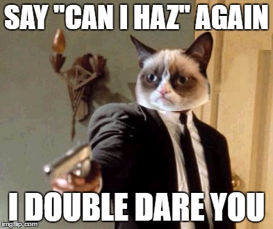 SAY "CAN I HAZ" AGAIN; I DOUBLE DARE YOU | image tagged in samuel l cat | made w/ Imgflip meme maker