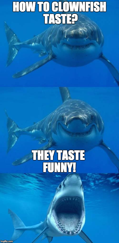 Bad Shark Pun  | HOW TO CLOWNFISH TASTE? THEY TASTE FUNNY! | image tagged in bad shark pun | made w/ Imgflip meme maker