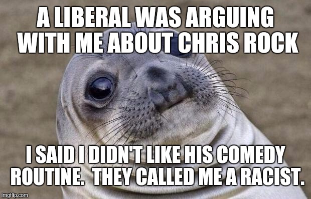 Awkward Moment Sealion | A LIBERAL WAS ARGUING WITH ME ABOUT CHRIS ROCK; I SAID I DIDN'T LIKE HIS COMEDY ROUTINE.  THEY CALLED ME A RACIST. | image tagged in memes,awkward moment sealion | made w/ Imgflip meme maker