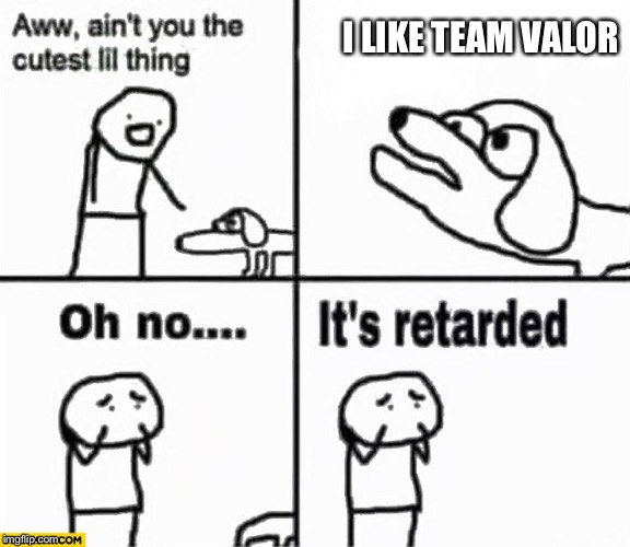 Oh no it's retarded! | I LIKE TEAM VALOR | image tagged in oh no it's retarded | made w/ Imgflip meme maker