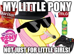 MLG Pony | MY LITTLE PONY; NOT JUST FOR LITTLE GIRLS! | image tagged in mlg pony,memes | made w/ Imgflip meme maker