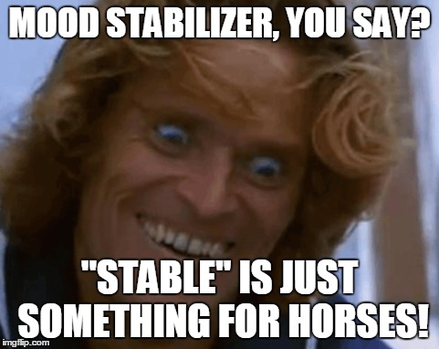 MOOD STABILIZER, YOU SAY? "STABLE" IS JUST SOMETHING FOR HORSES! | made w/ Imgflip meme maker
