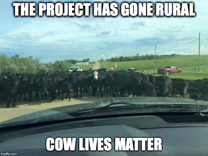THE PROJECT HAS GONE RURAL; COW LIVES MATTER | image tagged in cowlivesmatter | made w/ Imgflip meme maker
