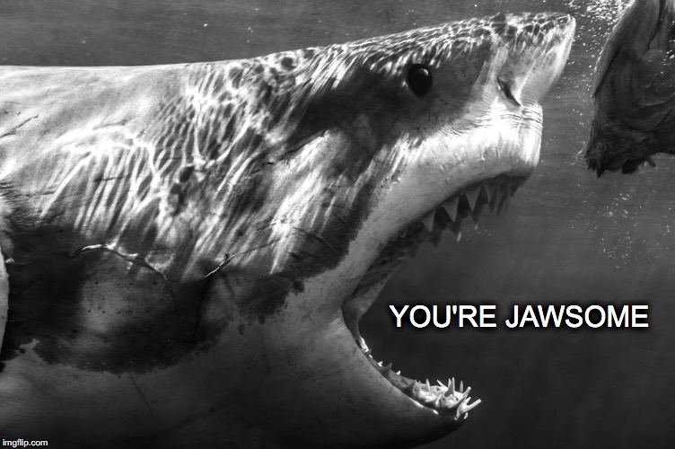 I'm gonna need a bigger boat... | YOU'RE JAWSOME | image tagged in janey mack meme,funny,flirt meme,you're jawsome,jaws,great white shark | made w/ Imgflip meme maker