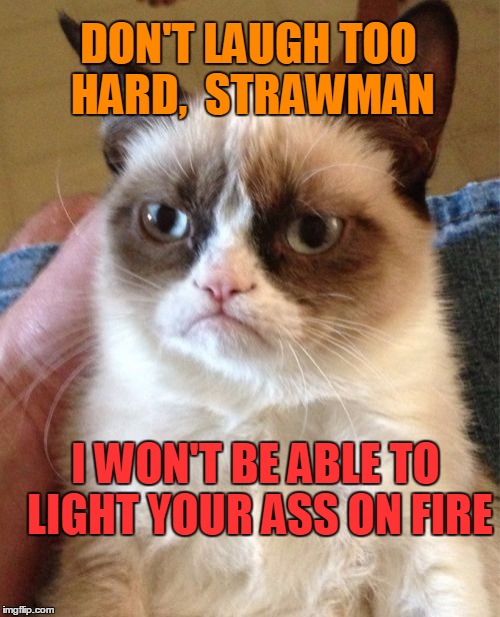 Grumpy Cat Meme | DON'T LAUGH TOO HARD,  STRAWMAN I WON'T BE ABLE TO LIGHT YOUR ASS ON FIRE | image tagged in memes,grumpy cat | made w/ Imgflip meme maker