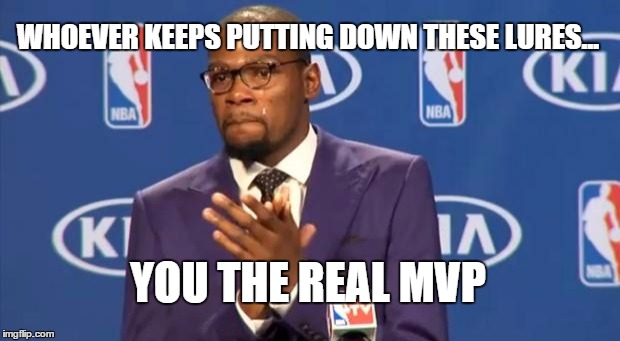 You The Real MVP Meme | WHOEVER KEEPS PUTTING DOWN THESE LURES... YOU THE REAL MVP | image tagged in memes,you the real mvp,pokemongo | made w/ Imgflip meme maker