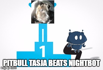 PITBULL TASJA BEATS NIGHTBOT | image tagged in ptibulltasja,nightbot | made w/ Imgflip meme maker