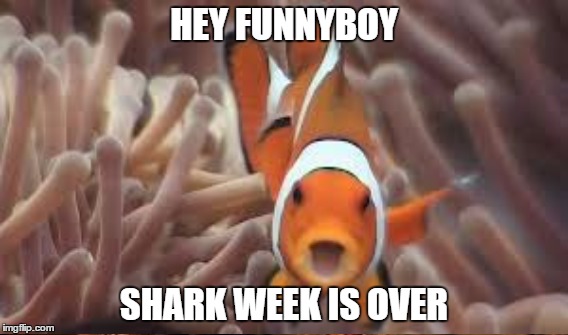 HEY FUNNYBOY SHARK WEEK IS OVER | made w/ Imgflip meme maker