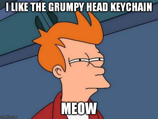 Futurama Fry Meme | I LIKE THE GRUMPY HEAD KEYCHAIN MEOW | image tagged in memes,futurama fry | made w/ Imgflip meme maker