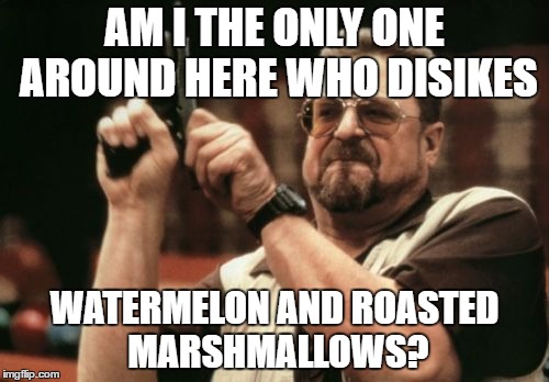 I suck at summer  | AM I THE ONLY ONE AROUND HERE WHO DISIKES; WATERMELON AND ROASTED MARSHMALLOWS? | image tagged in memes,am i the only one around here | made w/ Imgflip meme maker