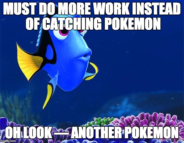 Dory | MUST DO MORE WORK INSTEAD OF CATCHING POKEMON; OH LOOK — ANOTHER POKEMON | image tagged in dory | made w/ Imgflip meme maker