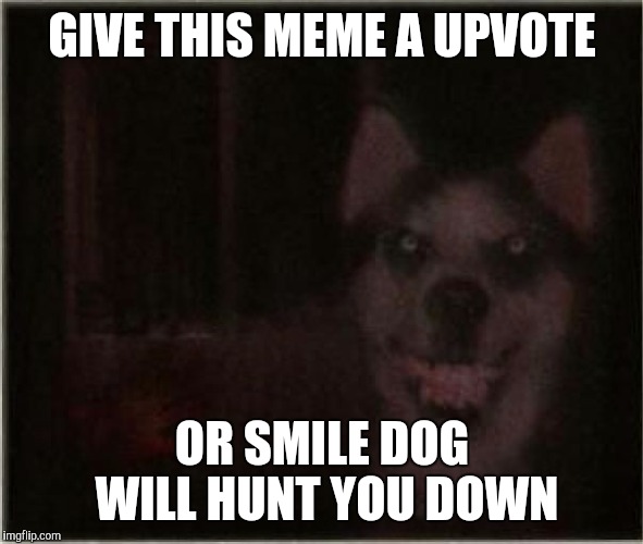 smile dog | GIVE THIS MEME A UPVOTE; OR SMILE DOG WILL HUNT YOU DOWN | image tagged in smile dog,memes,upvote,hunt you down | made w/ Imgflip meme maker