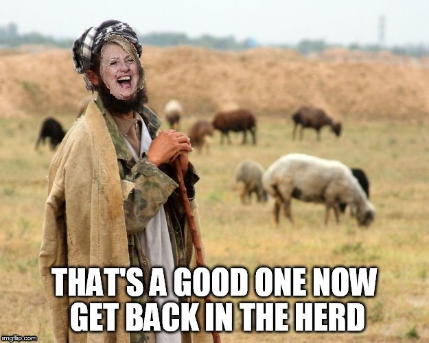 Hillary Sheep Herder | THAT'S A GOOD ONE NOW GET BACK IN THE HERD | image tagged in hillary sheep herder | made w/ Imgflip meme maker