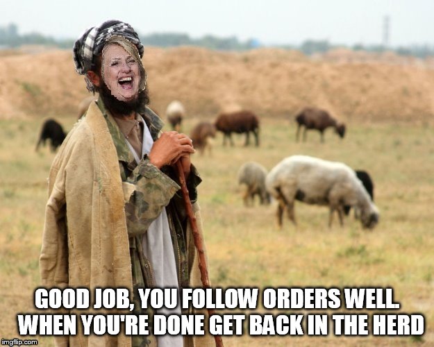 Hillary Sheep Herder | GOOD JOB, YOU FOLLOW ORDERS WELL.  WHEN YOU'RE DONE GET BACK IN THE HERD | image tagged in hillary sheep herder | made w/ Imgflip meme maker