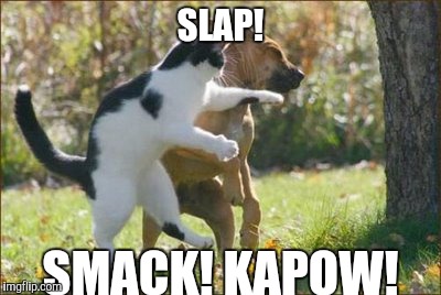 SLAP! SMACK! KAPOW! | made w/ Imgflip meme maker