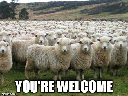 Hillary Supporters | YOU'RE WELCOME | image tagged in hillary supporters | made w/ Imgflip meme maker