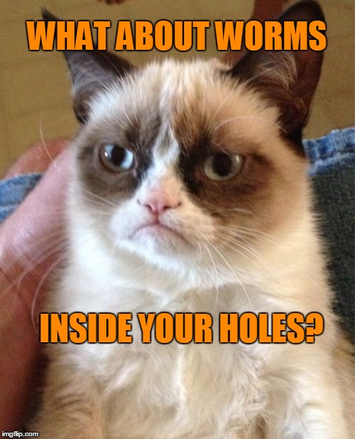 Grumpy Cat Meme | WHAT ABOUT WORMS INSIDE YOUR HOLES? | image tagged in memes,grumpy cat | made w/ Imgflip meme maker