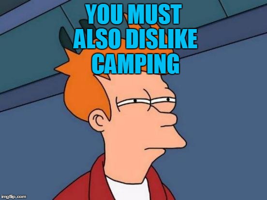 Futurama Fry Meme | YOU MUST ALSO DISLIKE CAMPING | image tagged in memes,futurama fry | made w/ Imgflip meme maker