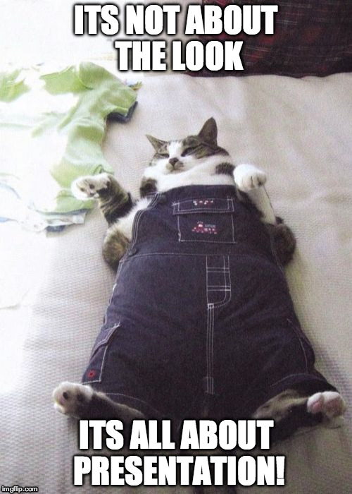 Fat cat | ITS NOT ABOUT THE LOOK; ITS ALL ABOUT PRESENTATION! | image tagged in memes,fat cat,animal meme,animals,style,fashion | made w/ Imgflip meme maker