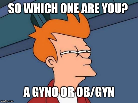 Futurama Fry Meme | SO WHICH ONE ARE YOU? A GYNO OR OB/GYN | image tagged in memes,futurama fry | made w/ Imgflip meme maker