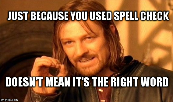 One Does Not Simply | JUST BECAUSE YOU USED SPELL CHECK; DOESN'T MEAN IT'S THE RIGHT WORD | image tagged in memes,one does not simply | made w/ Imgflip meme maker