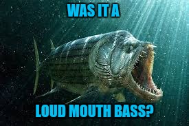 WAS IT A LOUD MOUTH BASS? | made w/ Imgflip meme maker