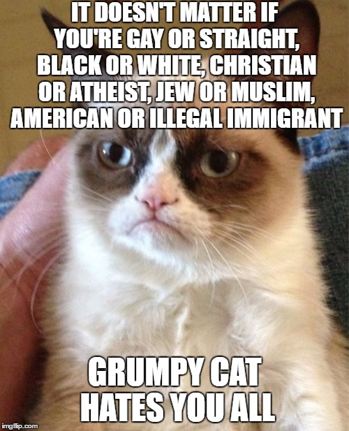 Grumpy Cat | IT DOESN'T MATTER IF YOU'RE GAY OR STRAIGHT, BLACK OR WHITE, CHRISTIAN OR ATHEIST, JEW OR MUSLIM, AMERICAN OR ILLEGAL IMMIGRANT; GRUMPY CAT HATES YOU ALL | image tagged in memes,grumpy cat | made w/ Imgflip meme maker