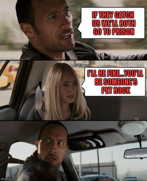 Sorry...had to be done. | IF THEY CATCH US WE'LL BOTH GO TO PRISON; I'LL BE FINE...YOU'LL BE SOMEONE'S PET ROCK | image tagged in memes,the rock driving | made w/ Imgflip meme maker