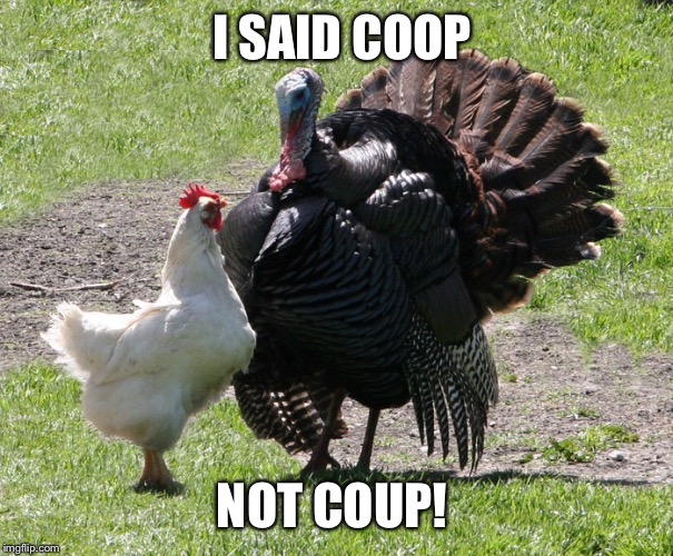 I SAID COOP; NOT COUP! | image tagged in turkey disapproves | made w/ Imgflip meme maker