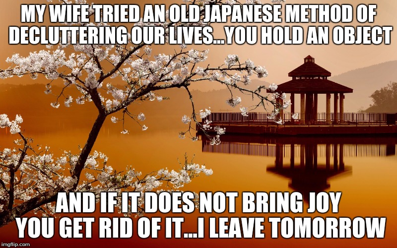 japanese | MY WIFE TRIED AN OLD JAPANESE METHOD OF DECLUTTERING OUR LIVES...YOU HOLD AN OBJECT; AND IF IT DOES NOT BRING JOY YOU GET RID OF IT...I LEAVE TOMORROW | image tagged in japanese | made w/ Imgflip meme maker