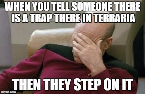 Captain Picard Facepalm | WHEN YOU TELL SOMEONE THERE IS A TRAP THERE IN TERRARIA; THEN THEY STEP ON IT | image tagged in memes,captain picard facepalm | made w/ Imgflip meme maker