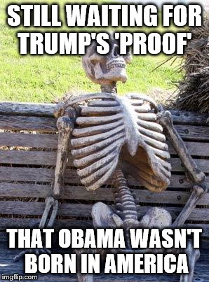 Waiting Skeleton Meme | STILL WAITING FOR TRUMP'S 'PROOF'; THAT OBAMA WASN'T BORN IN AMERICA | image tagged in memes,waiting skeleton | made w/ Imgflip meme maker