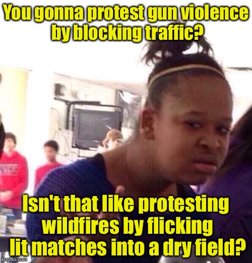 That don't make sense | You gonna protest gun violence by blocking traffic? Isn't that like protesting wildfires by flicking lit matches into a dry field? | image tagged in memes,black girl wat,black lives matter,protesters | made w/ Imgflip meme maker