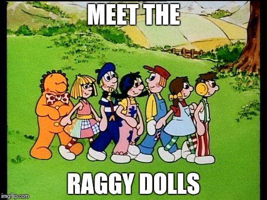 MEET THE RAGGY DOLLS | made w/ Imgflip meme maker