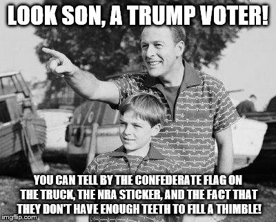 Look Son | LOOK SON, A TRUMP VOTER! YOU CAN TELL BY THE CONFEDERATE FLAG ON THE TRUCK, THE NRA STICKER, AND THE FACT THAT THEY DON'T HAVE ENOUGH TEETH TO FILL A THIMBLE! | image tagged in memes,look son | made w/ Imgflip meme maker