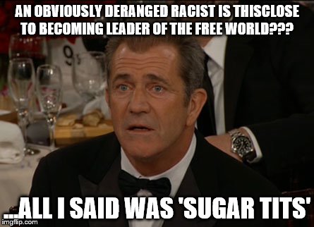 Confused Mel Gibson Meme | AN OBVIOUSLY DERANGED RACIST IS THISCLOSE TO BECOMING LEADER OF THE FREE WORLD??? ...ALL I SAID WAS 'SUGAR TITS' | image tagged in memes,confused mel gibson | made w/ Imgflip meme maker