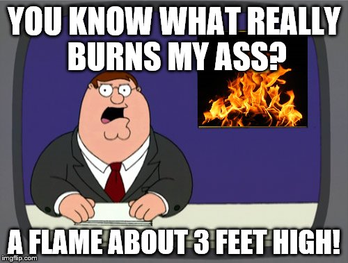 Peter Griffin News Meme | YOU KNOW WHAT REALLY BURNS MY ASS? A FLAME ABOUT 3 FEET HIGH! | image tagged in memes,peter griffin news | made w/ Imgflip meme maker