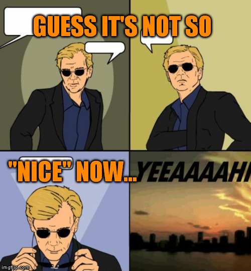 A perfect example of how the tool doesn't kill, the person misusing it does | GUESS IT'S NOT SO; "NICE" NOW... | image tagged in horatio csi miami,memes,nice france,2nd amendment,self defense,people kill people | made w/ Imgflip meme maker